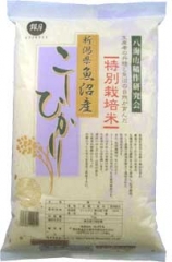 ���̺����� ���㸩���»������ҥ���