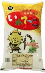 ��긩������Ƥä�